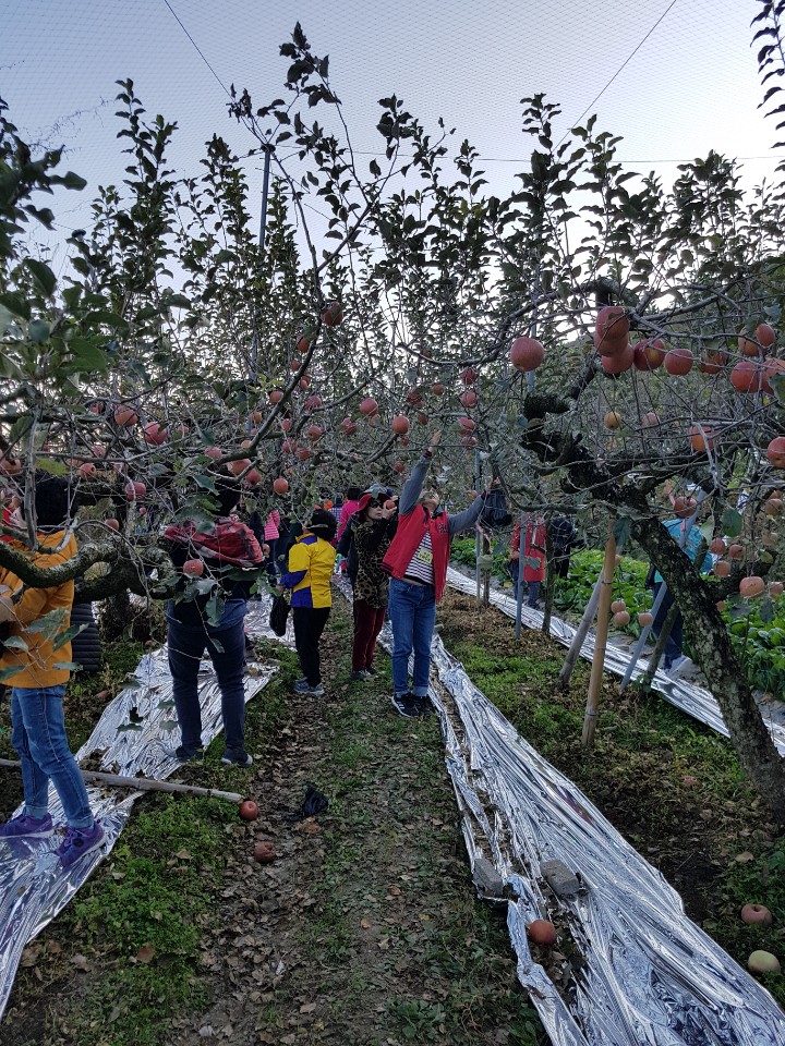 2019년 하반기 가을 야유회
